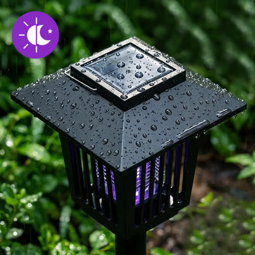 ZapLite